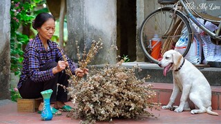 Thu hoạch vừng mẹ làm các món ngon từ vừng ( The Life Of Sesame ) I Ẩm Thực Mẹ Làm