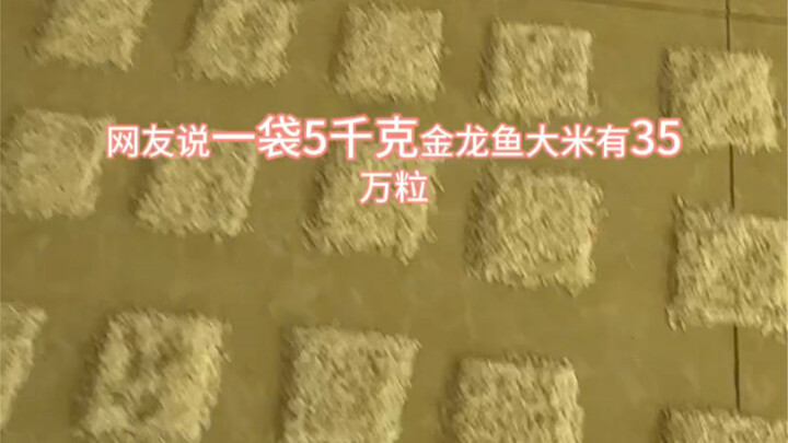 ไม่อย่างนั้นฉันก็จะเสียเปรียบ