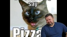 Pizza Prank fail turned, a day with another YouTuber! Uncle Joe's Reaction