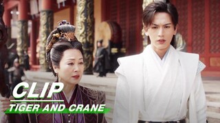 Qi Xiaoxuan Suspects the Invasion of Evil Spirits | Tiger and Crane EP15 | 虎鹤妖师录 | iQIYI