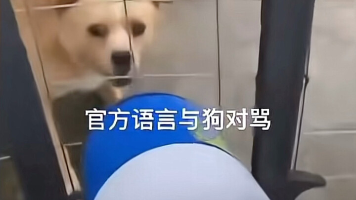 Doggy: You’ve left me speechless with all your scolding.