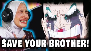 BON CLAY'S ULTIMATE SACRIFICE FOR LUFFY 🔴 One Piece Episode 451 & 452 Reaction