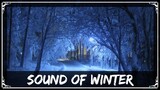 [Undertronic Original] SharaX - Sound of Winter (Cider, Chronos & Zephyr Vocals)