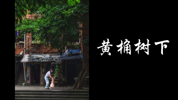 Dưới gốc cây hoàng giác