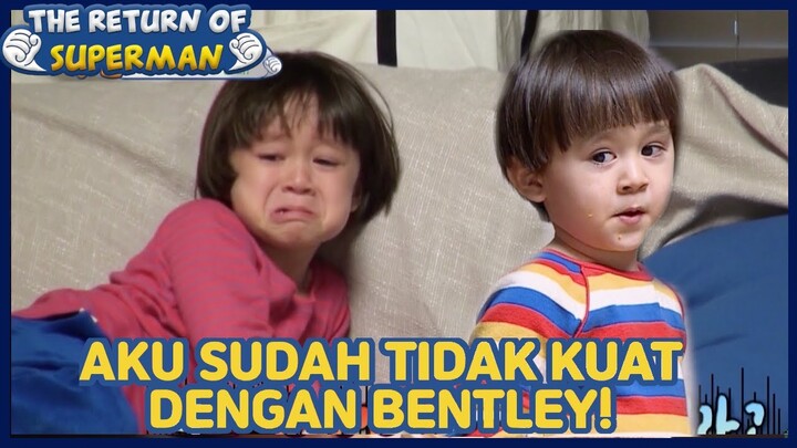 Aku Sudah Tidak Kuat Dengan Bentley! |The Return of Superman |SUB INDO| 210110 Siaran KBS WORLD TV|
