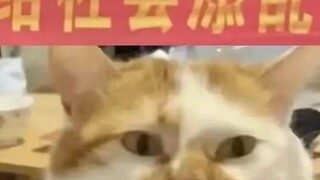 精神状态领先互联网
