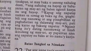 Pang Araw Araw na Talata.               Exodus 21:33-36