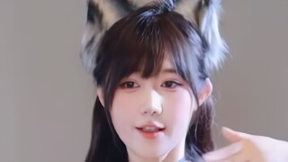 玛萨咪Ovo ROLY-POLY