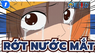 Cảnh rớt nước mắt | One Piece_1