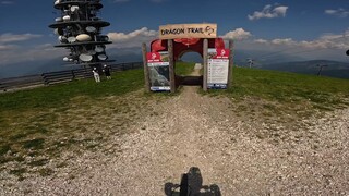 “你本该自由又热烈地活着”