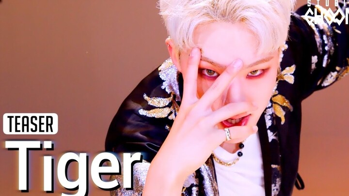 【4K中字】Tiger - 权顺荣Hoshi Teaser [Be Original]