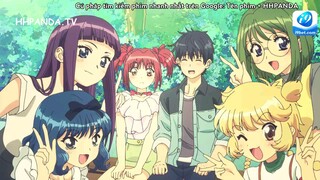 Tokyo meo meo mới tập 12