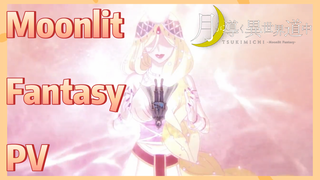 Moonlit Fantasy PV