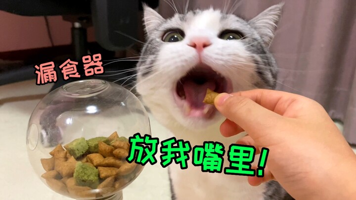 แมวหลอกยากขนาดนี้เลยเหรอ? ของเล่นพัฒนาปัญญาคงเรียนรู้ไม่ไหวแน่! แต่รางวัลต้องกินให้ได้!!