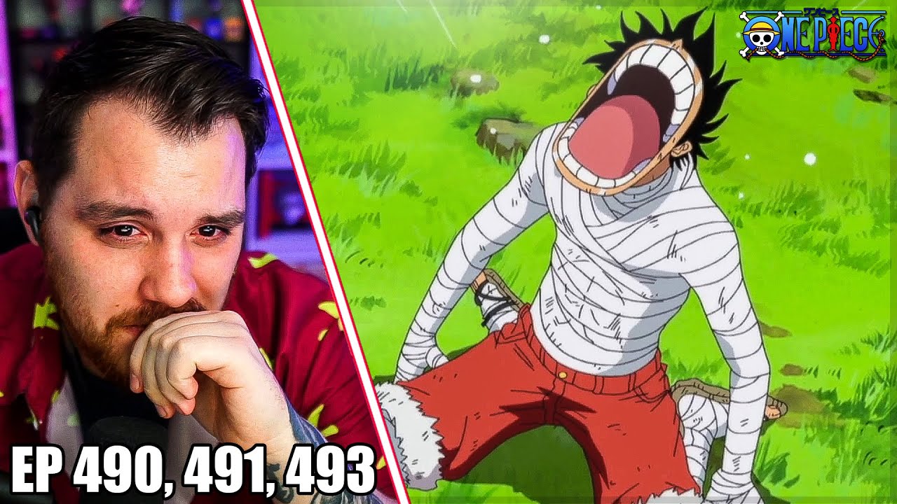 Yes Luffy He S Gone One Piece Episode 490 491 493 Reaction Review Bilibili