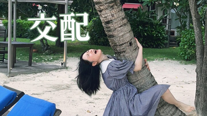 从一见钟情到闪婚闪育