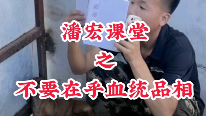 Pan Hong’s Class: “Don’t Sweat the Bloodline or Appearance”