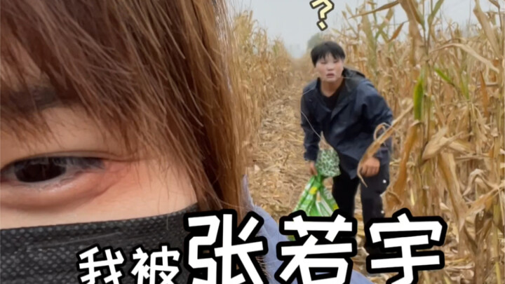 Gao Yuyu got caught by Zhang Ruoyu in their family’s cornfield… picking corn