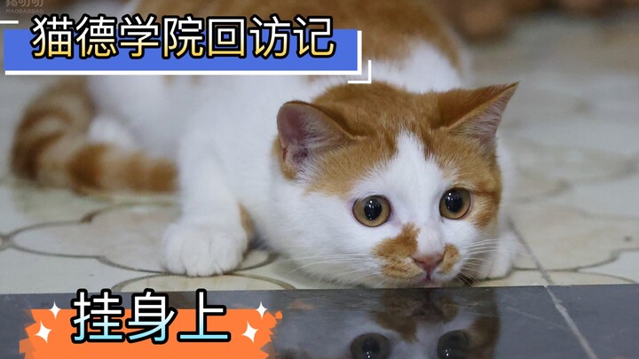 تقرير زيارة مدرسة ماو ده التذكارية: “المعلّق على الجسد” – ما الذي رأته العيون المتألقة عندما تعلّق ع