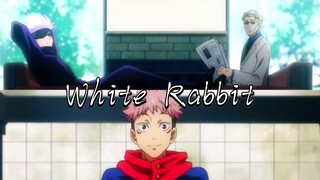 【五悠/七虎】White Rabbit “我是你最难以戒断的瘾”