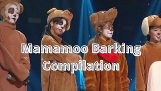 Mamamoo are Actually Dogs (barking compilation)