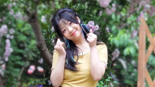 Hoa hồng đang nở, cảm giác thật tuyệt khi được nhảy múa dưới những bông hoa!