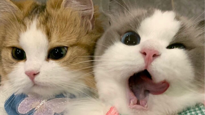 Chiếc túi nổi bật này hơi quá nổi bật