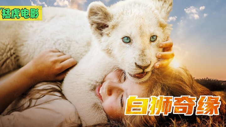 Seluruh film menggunakan singa sungguhan, diproduksi selama tiga tahun—kisah tentang seekor singa pu