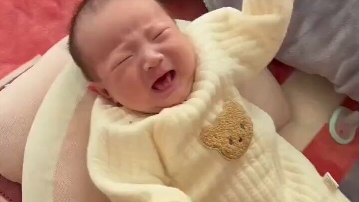 Nonton secara imersif bayi-bayi manusia makan sambil ngamuk kalau dikasih makan sedikit aja telat!