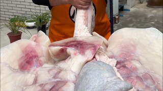 ฉันเทน้ำ 50 กิโลกรัมลงไปในสัตว์ยักษ์เพื่อให้สมกับชื่อ "ปอดวัว"