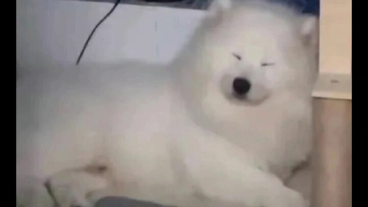 Daily Emoticon Sharing