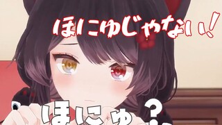 【熟肉MMD】在安洁开场白捣乱的戌亥床