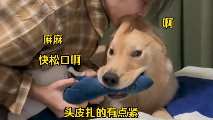 Đi theo con đường của chó, khiến chó hết đường mà đi! Dùng chính cái đạo của chó để trả lại cho chín