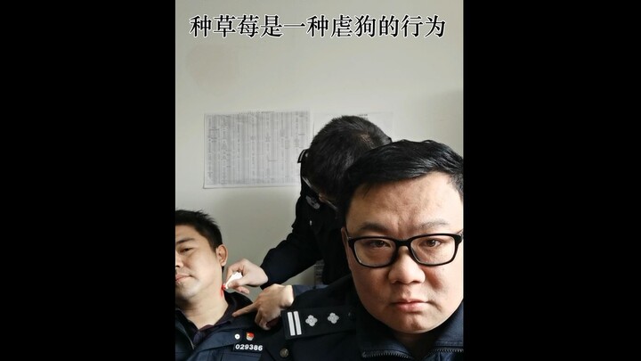 Forensic Doctor Qin Ming: Is “Strawberry Planting” Between Couples Risky?