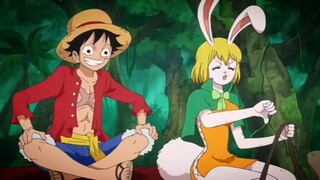 moment kocak Roronoa Zoro ,Luffy cuman tertawa aja 🤣