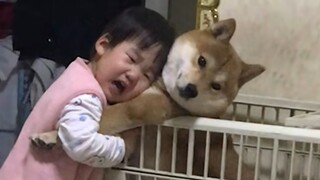 "Mencintai anak-anak mungkin ada dalam gen anjing!"