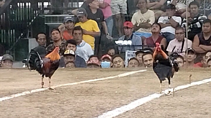 1st fight in Zapote Cockpit 110k Parada nakasa.Fastest kill.