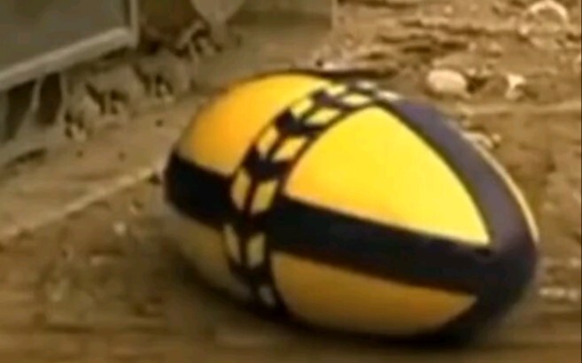 How Wild Mini Excavators Are Born