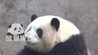 Huahua, who is 1.5 meters tall, and her brother, who is 1.8 meters tall