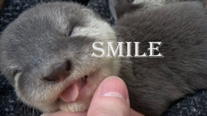 【ลูกนากน้อย】วันที่ 42 หลังคลอด – แม่โตว่าหึงเพราะพ่อเอาแต่หยอกล้อเจ้าตัวเล็ก【ตอนพิเศษ】