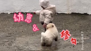 The two cutest creatures in the world are in the same frame 🩵~ Healing rate 99.999%