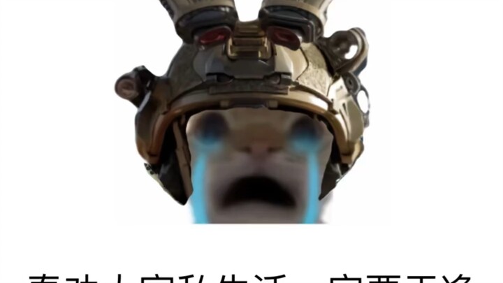 Your personal life has to stay clean—don’t ever mess with Delta, or you’ll lose millions in a heartb