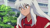 Silly InuYasha has a different kind of charm