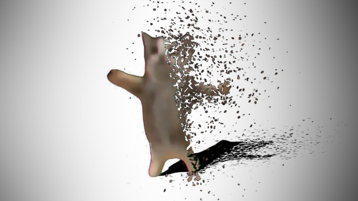 Goodbye. Happy Cat........