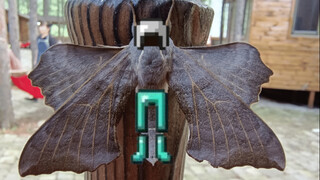 My sister forced me to teach her how to use elytra
