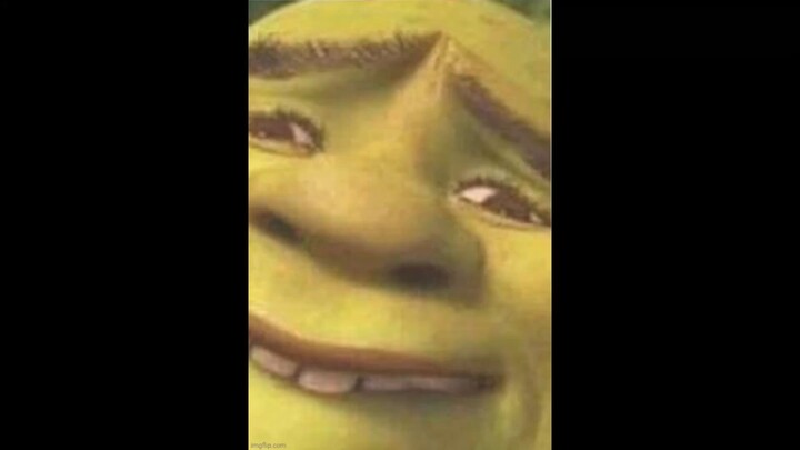 2 hours of silence occasionally broken up by random Shrek sounds