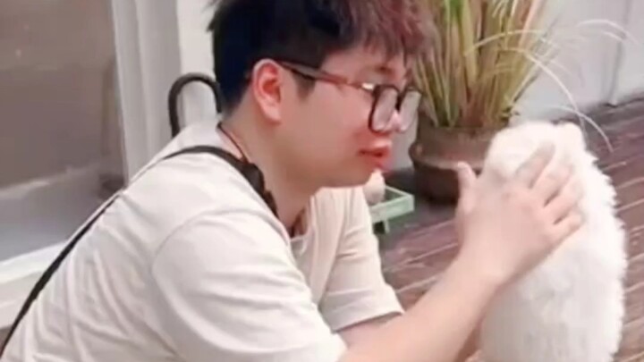 عندما مات الجرو، غادرته أمه للمرة الثانية.