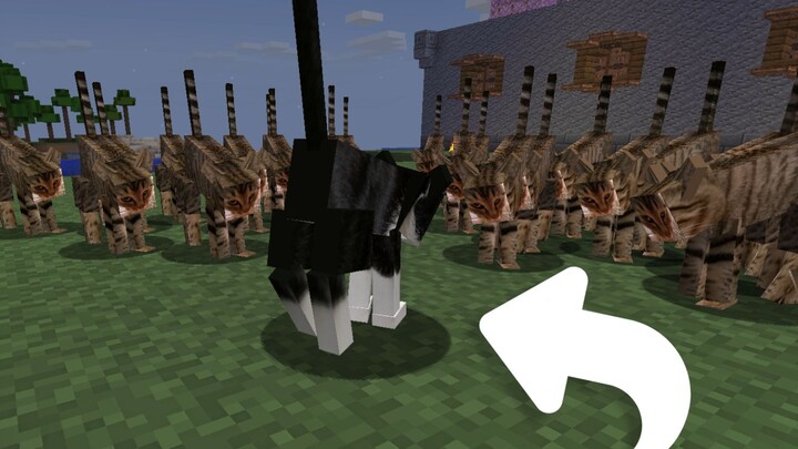When Lao Wu is added to the Minecraft server (Player: “Uh, uh, chew, chew, chew 🥴🥴🥴”)