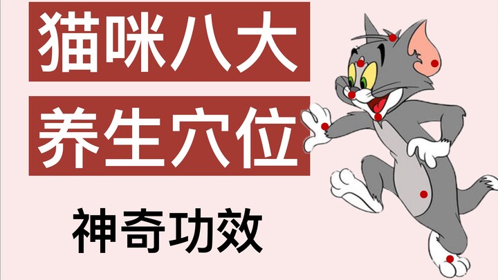 หลังนวดกดจุดให้แมวแล้ว ลูกแมวกลับอ่อนปวกเปียก ทำตัวเหมือนถูกชนแล้วไม่ยอมไป ทำยังไงดี?