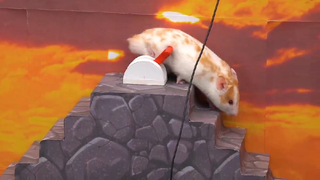 ภารกิจของหนูแฮมสเตอร์ EP 230